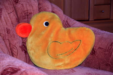 Kuschelkissen
