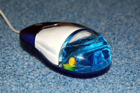 Mouse
